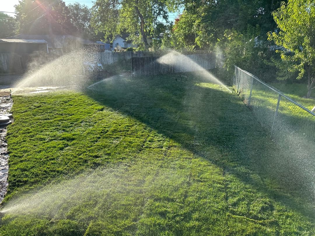 Irrigation system watering lush green lawn in backyard during sunny morning.