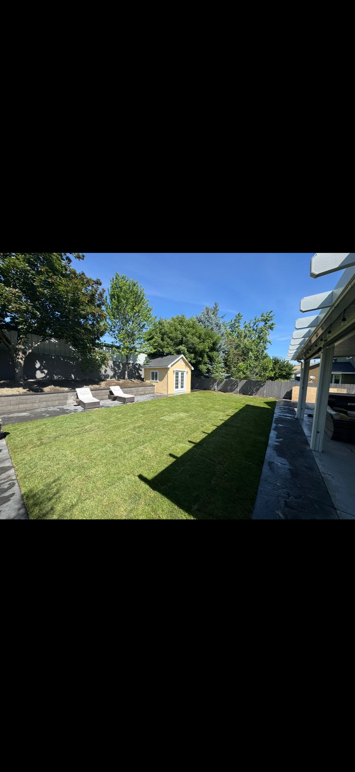 Backyard Dream: Irrigation and Sod Project