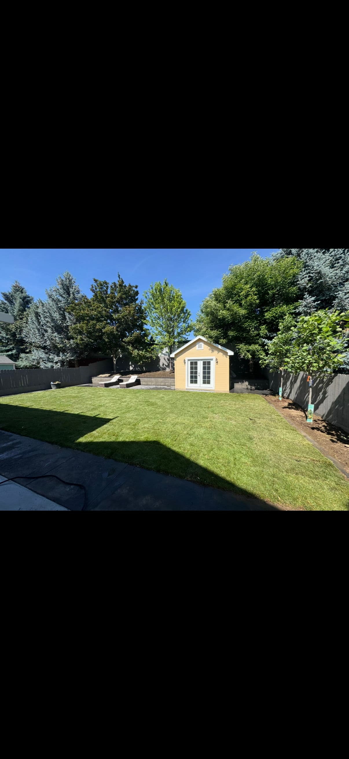 Project Backyard Dream: Irrigation and Sod Project image