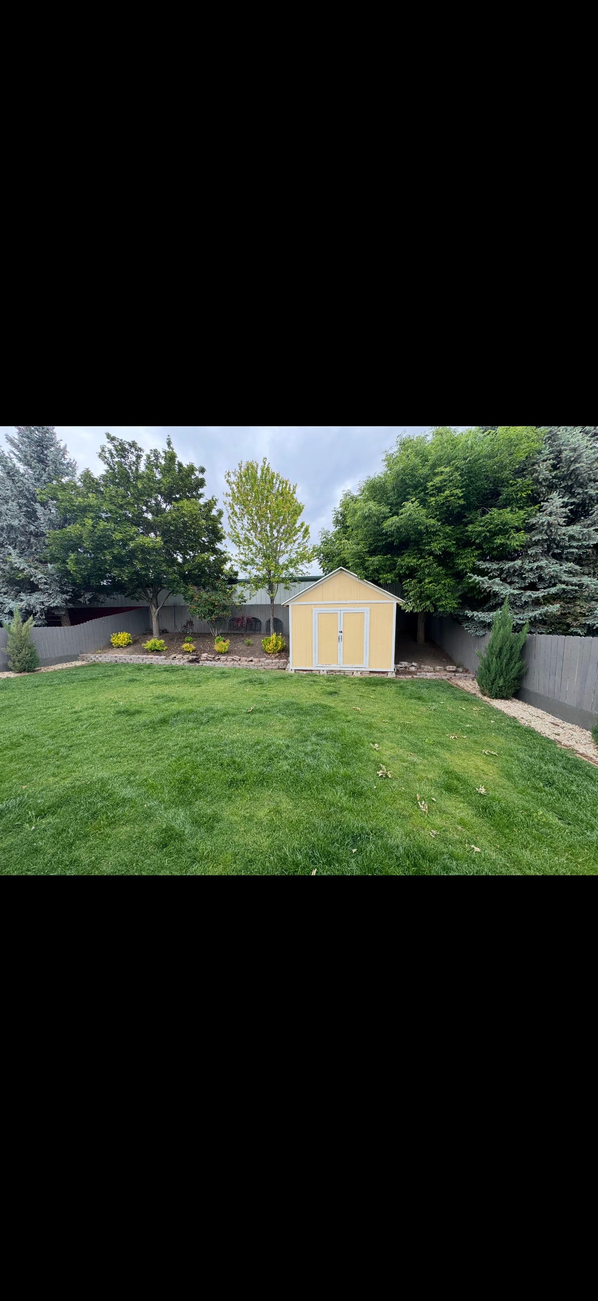 Backyard Dream: Irrigation and Sod Project