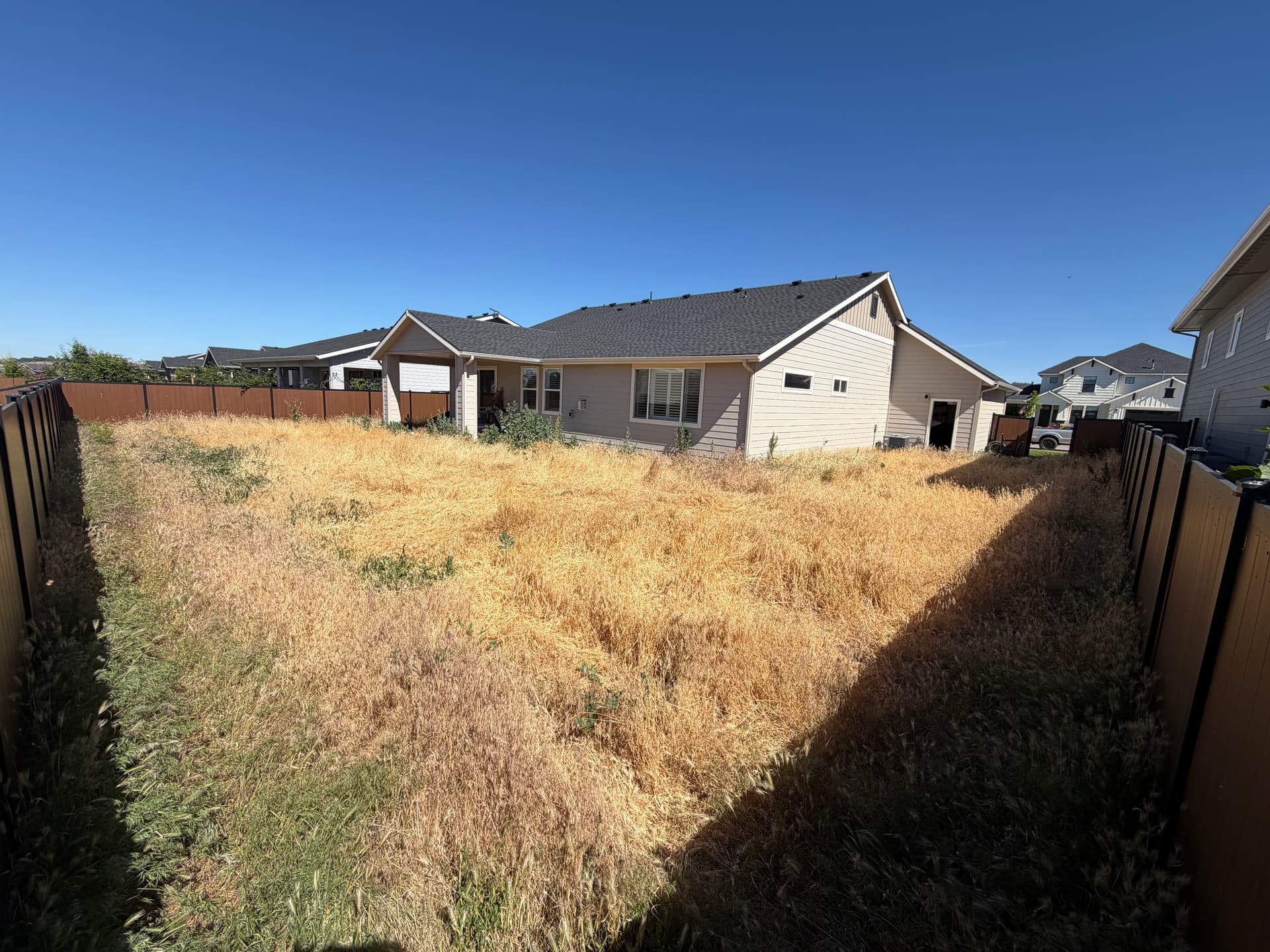 Gallery photos for Dead Weeds to Real Grass - Backyard Sod Installation in Star: Image #3