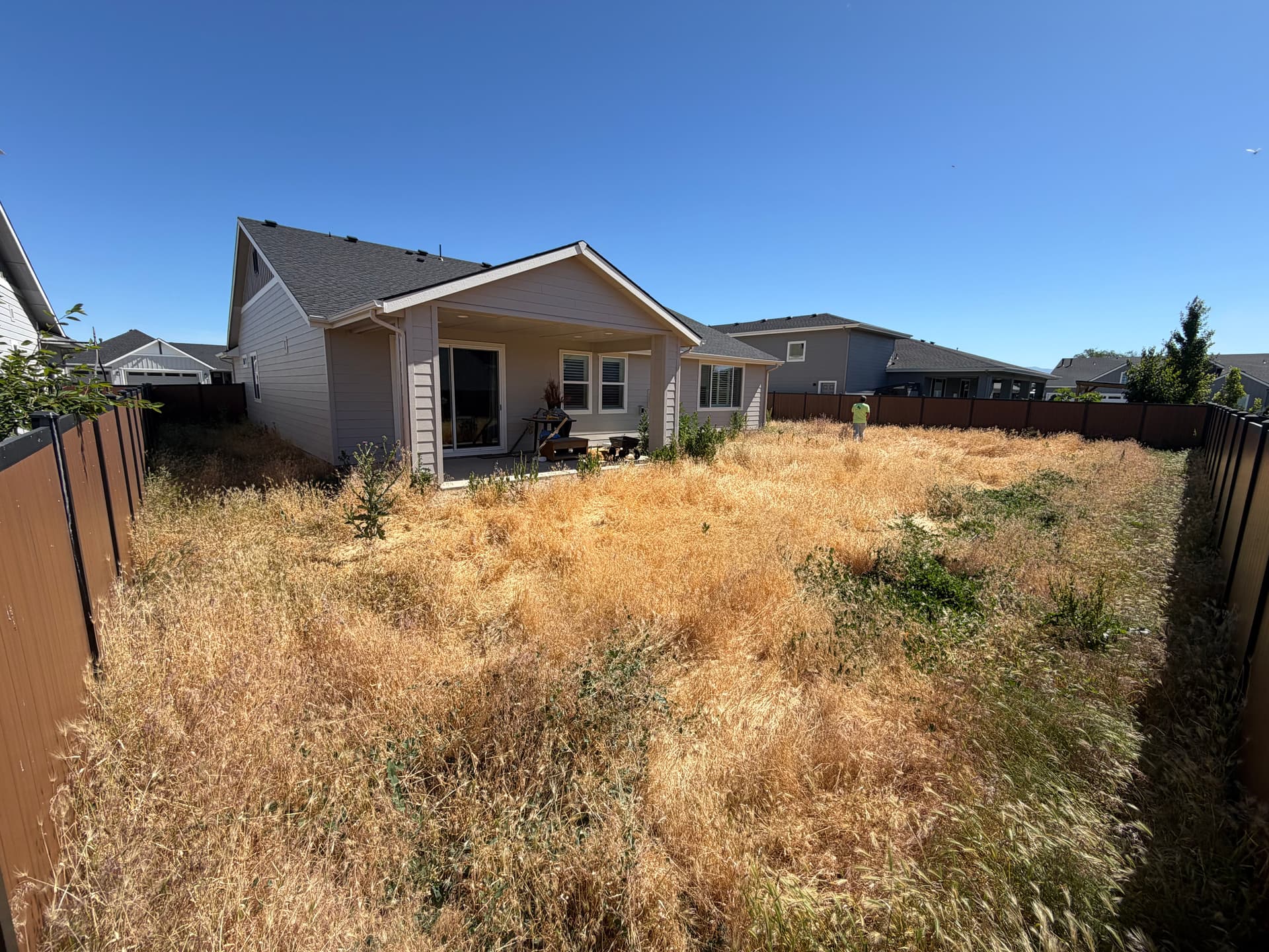Dead Weeds to Real Grass - Backyard Sod Installation in Star